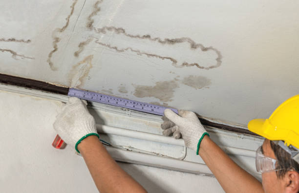 Reliable Mold Remediation contractor in Sabattus, ME by Water Damage Irwin